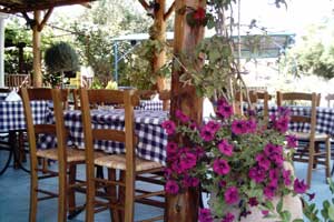 Taverne Restaurant Essen Nea Potidea Nea Moudania Aigios Mamas Chalkidiki