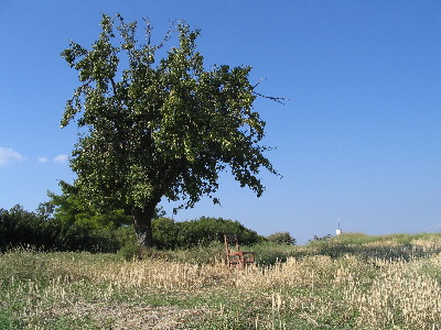 Nea Potidea  Chalkidiki Info